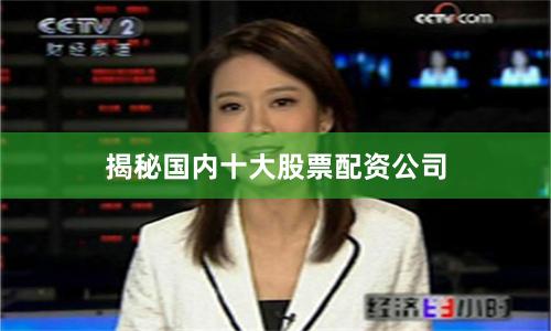 揭秘国内十大股票配资公司