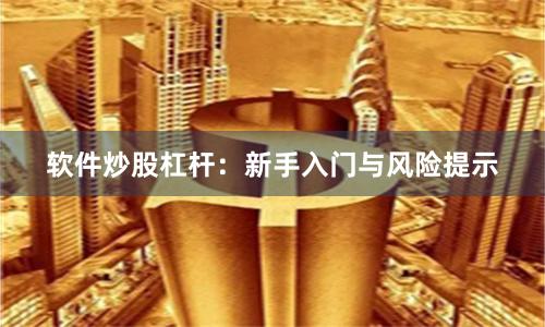 软件炒股杠杆：新手入门与风险提示