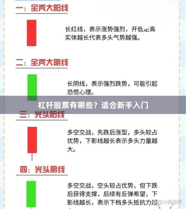 杠杆股票有哪些？适合新手入门