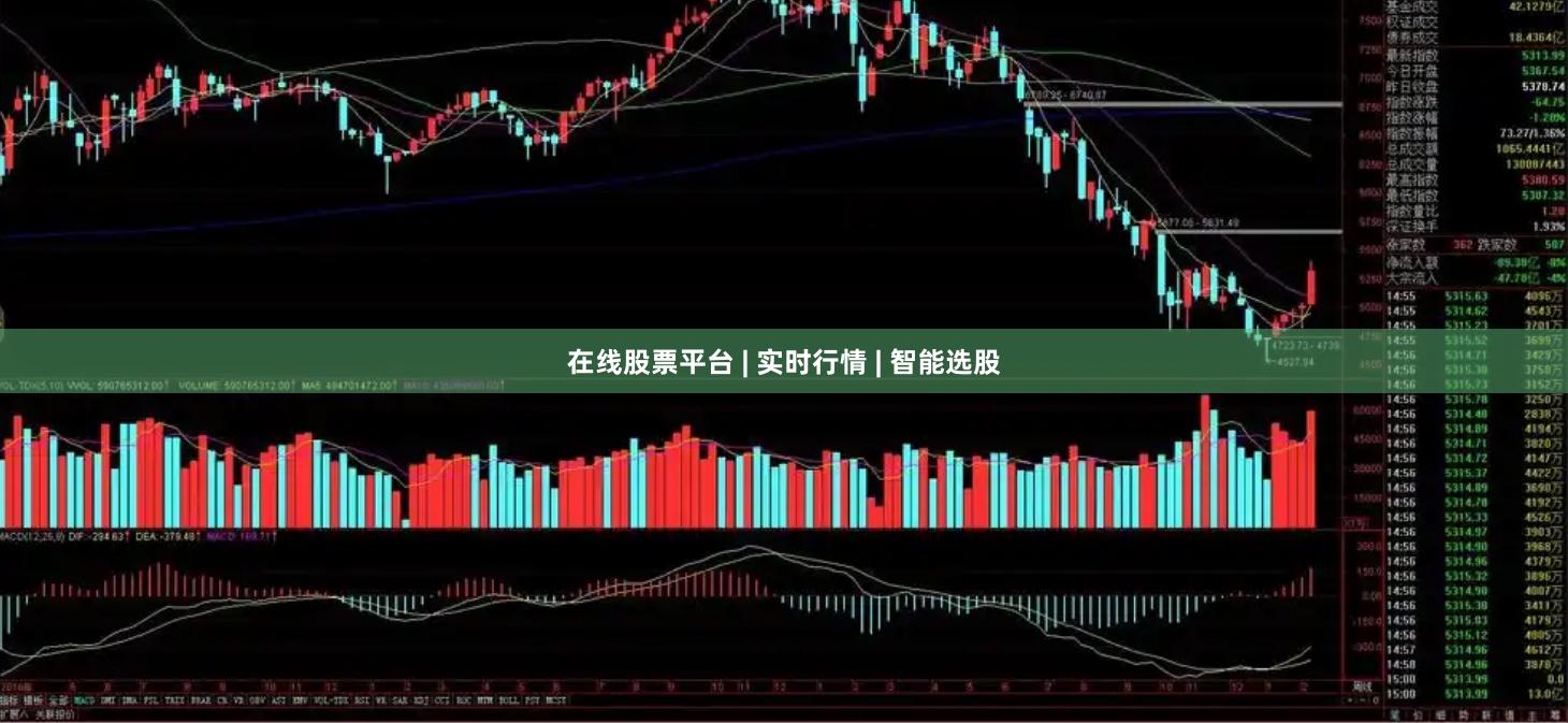 在线股票平台 | 实时行情 | 智能选股