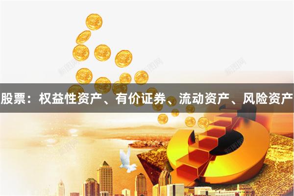 股票：权益性资产、有价证券、流动资产、风险资产
